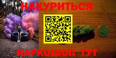 стаф Кингисепп