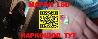 стаф Кингисепп