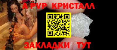 стаф Кингисепп