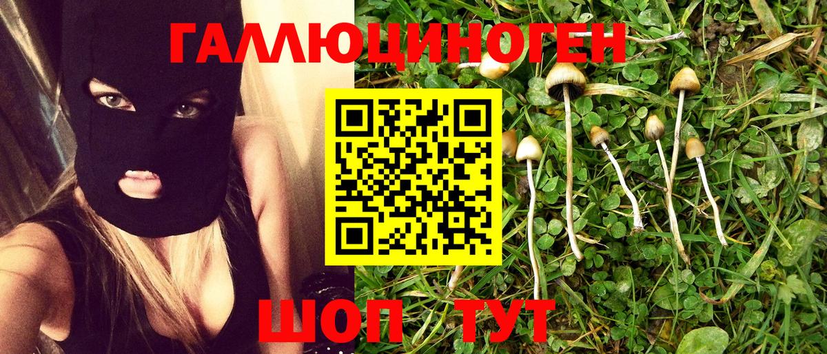 Галлюциногенные грибы Psilocybe Лесной